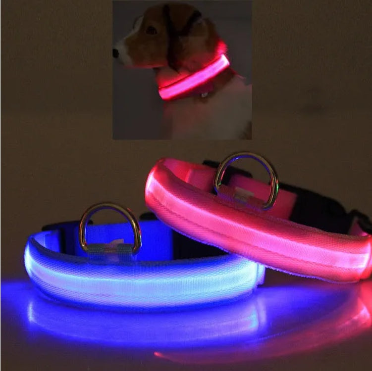 LED Pet Safety Collar – Halo Style Light-Up Collar for Dogs & Cats
