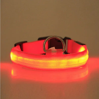 LED Pet Safety Collar – Halo Style Light-Up Collar for Dogs & Cats